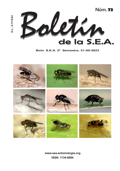 Boletín 73